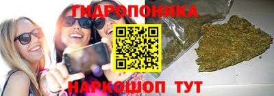 молекула духа Будённовск