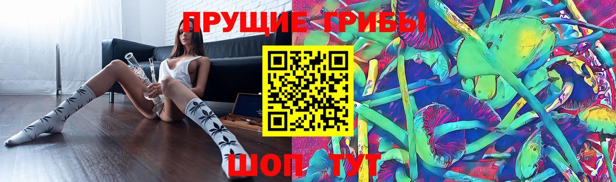 Псилоцибиновые грибы Cubensis  Вход с VPN  наркота  Старая Русса  Галлюциногенные грибы Psilocybine cubensis 